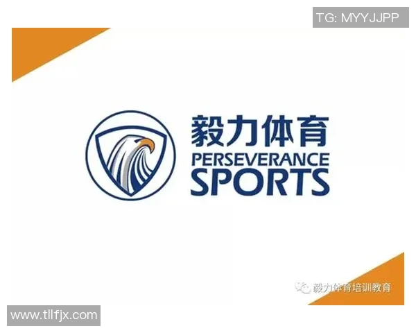 北京羽毛球队在冠军赛中的耐力与毅力表现分析与总结 北京羽毛球队在冠军赛中的耐力与毅力表现分析与总结