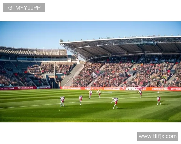 家园岛足球:在绿茵场上追逐梦想与团结的力量 家园岛足球:在绿茵场上追逐梦想与团结的力量