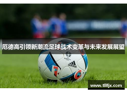 厄德高引领新潮流足球战术变革与未来发展展望