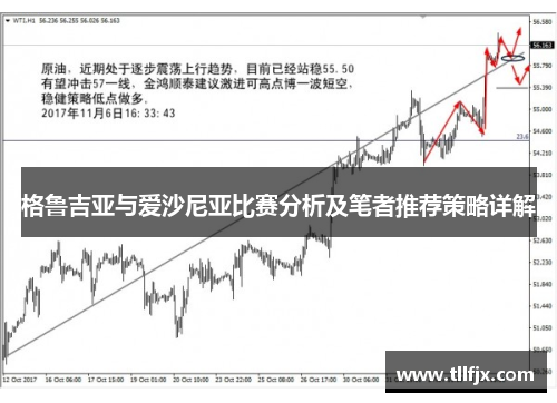 格鲁吉亚与爱沙尼亚比赛分析及笔者推荐策略详解