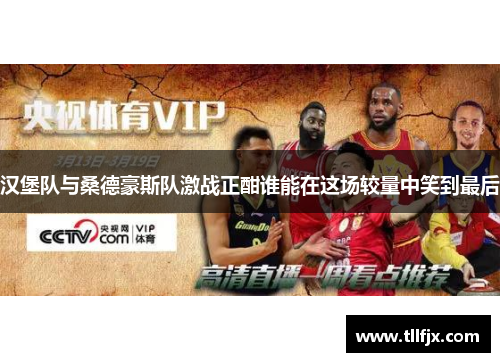 汉堡队与桑德豪斯队激战正酣谁能在这场较量中笑到最后