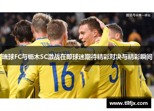 琉球FC与枥木SC激战在即球迷期待精彩对决与精彩瞬间