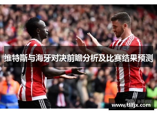 维特斯与海牙对决前瞻分析及比赛结果预测